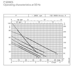 Lowara P Series Curve